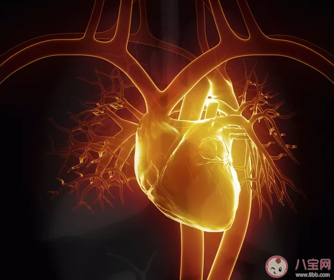 朝左睡會壓迫心臟是真的嗎 危害心臟的10種壞習慣