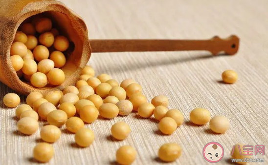 為什么用黃豆來進行抗洪 抗洪用黃豆是什么樣的原理