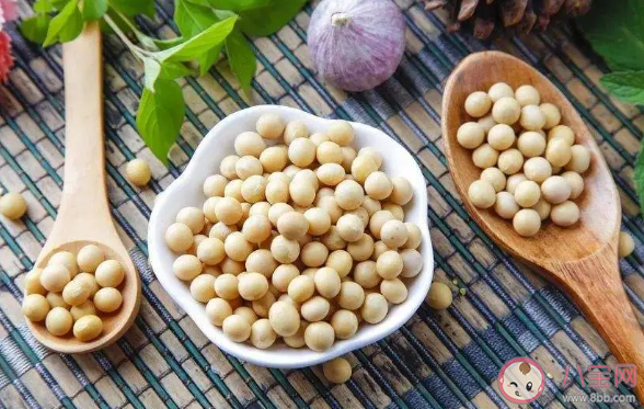 為什么用黃豆來進行抗洪 抗洪用黃豆是什么樣的原理