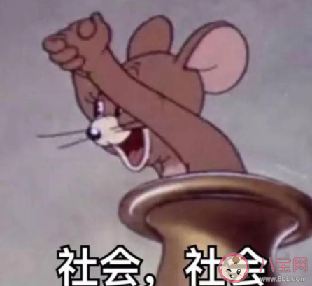 言喜私關是什么梗 言喜私關梗的出處是什么