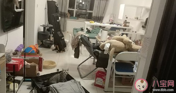 關于一個人搬家的心情說說  適合搬家發朋友圈感言。