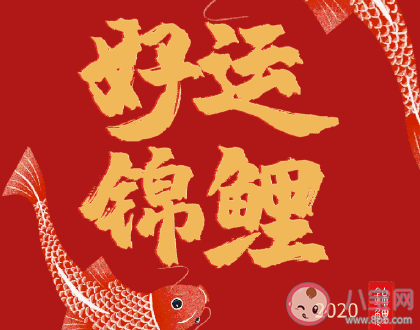 高考?jí)壕€怎么填報(bào)志愿 一本二本壓線填報(bào)志愿技巧 高考?jí)壕€怎么填報(bào)志愿 一本二本壓線填報(bào)志愿技巧