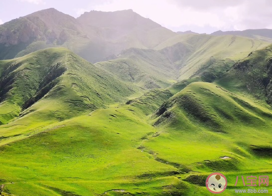 表達看到大草原的心情句子 曬草原美景的心情短語
