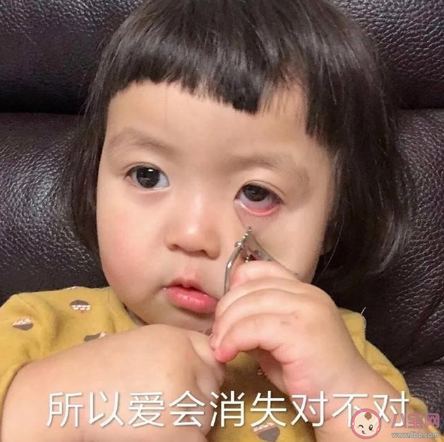 所以愛會消失對不對是什么意思什么梗 所以愛會消失對不對出處來源是什么