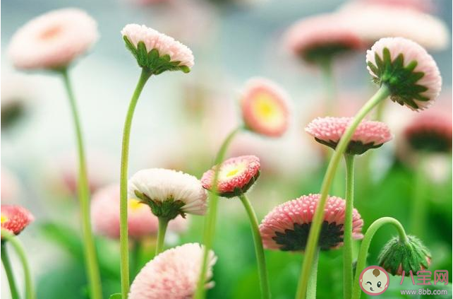 成長以后慢慢想明白的道理有哪些 慢慢想明白了的道理盤點 成長以后慢慢想明白的道理有哪些 慢慢想明白了的道理盤點