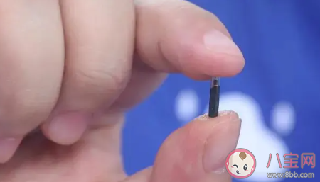 狗狗體內(nèi)植入芯片有哪些好處 體內(nèi)植入芯片對(duì)健康有影響嗎