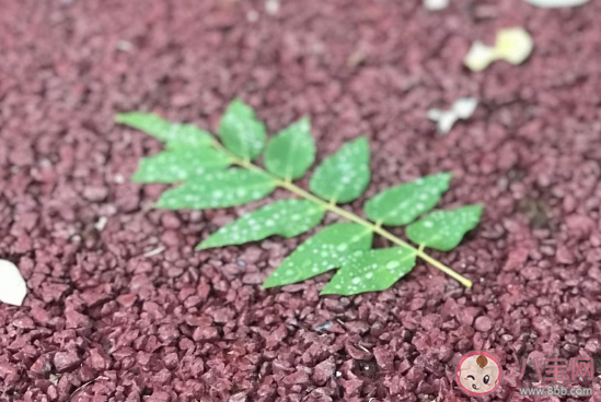 感慨又是一年冬天的心情說說 轉眼就是冬天了朋友圈感悟 感慨又是一年冬天的心情說說 轉眼就是冬天了朋友圈感悟
