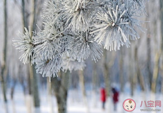 感慨又是一年冬天的心情說說 轉眼就是冬天了朋友圈感悟 感慨又是一年冬天的心情說說 轉眼就是冬天了朋友圈感悟