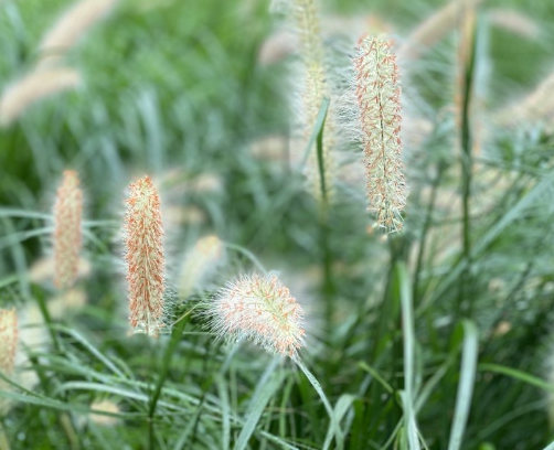 2020立秋節氣到了發朋友圈文案說說 立秋好看圖片大全句子