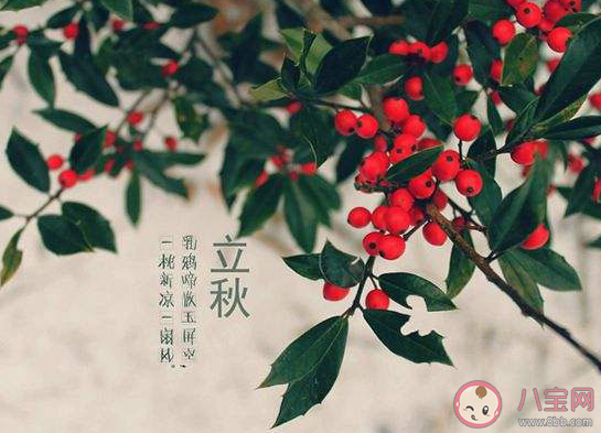 立秋天氣有什么變化 立秋節氣吃什么水果合適