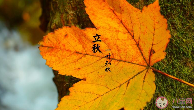 2020今日立秋早安心語發朋友圈帶圖 2020今日立秋早上好的朋友圈圖片說說