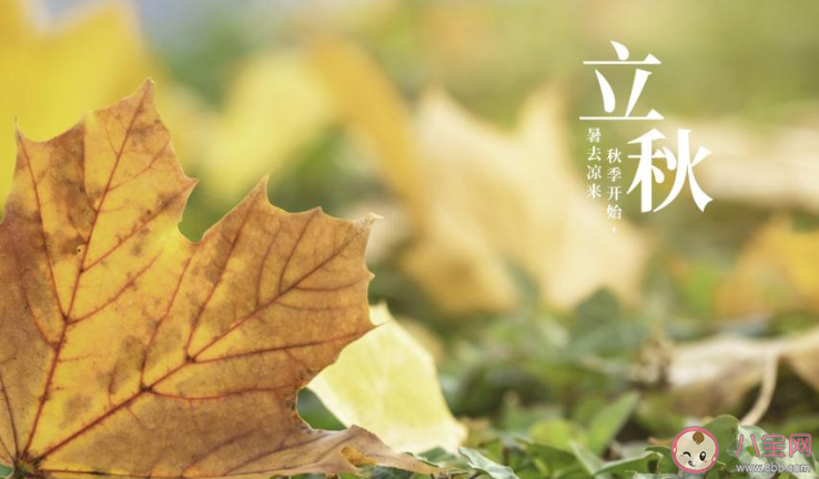 2020今日立秋早安心語發朋友圈帶圖 2020今日立秋早上好的朋友圈圖片說說