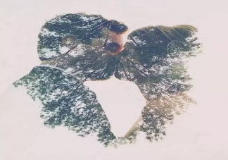 不成熟的戀愛觀是怎樣的 成熟的愛情觀有什么特征