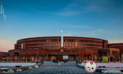 本科和專科最大的區別在哪里 兩者有哪些差距