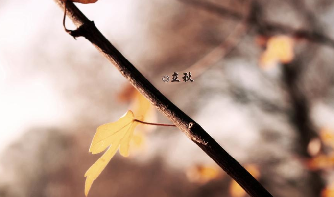 2020立秋節(jié)氣早安心語 2020立秋早上好的說說大全 2020立秋節(jié)氣早安心語 2020立秋早上好的說說大全