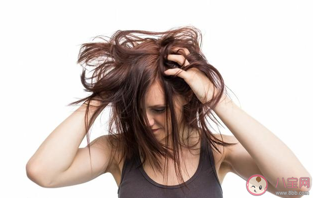 室內(nèi)流浪漢是什么意思 室內(nèi)流浪漢是什么梗