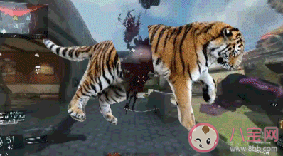 滑鏟殺老虎是什么意思什么梗 滑鏟殺老虎梗的來源出處介紹 滑鏟殺老虎是什么意思什么梗 滑鏟殺老虎梗的來源出處介紹