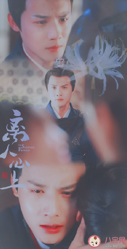 《離人花》歌詞是什么 《離人花》完整版歌詞內容分享