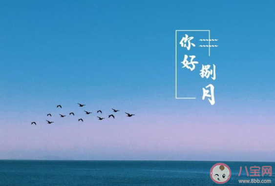 7月最后一天的圖片朋友圈文案 7月最后一天發(fā)的圖片說說