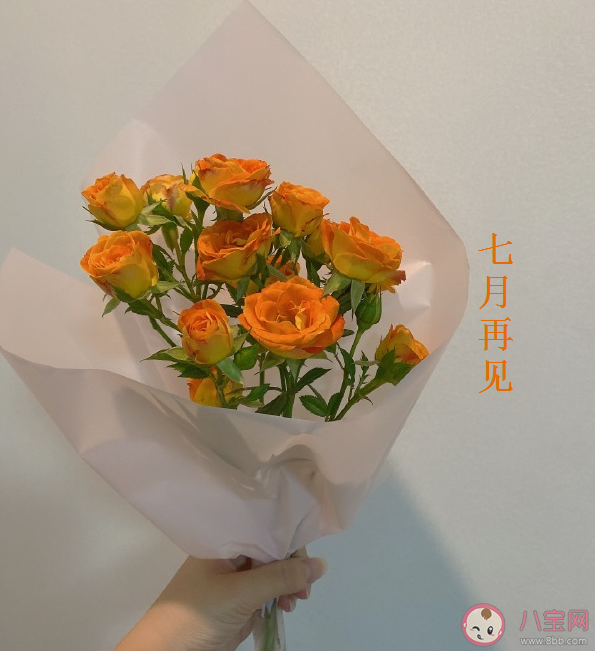 2020適合七月最后一天的朋友圈文案 七月最后一天的文案句子大全