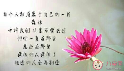 村上村樹關于愛情的經典語錄句子 村上村樹愛情唯美語錄