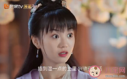 離人心上初月失眠的原因是什么 初月失眠癥治好了嗎