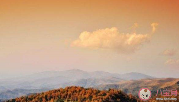 立秋有公秋母秋之分嗎 為什么立秋分公母