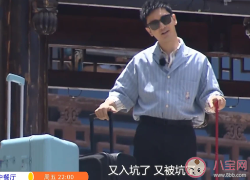 中餐廳4每周幾幾點播出 中餐廳4一共多少期