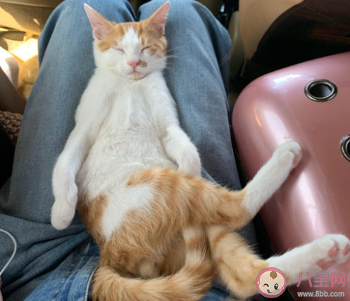 2020沙雕有趣的搞笑群名匯總 2020搞笑火爆的群名稱大全