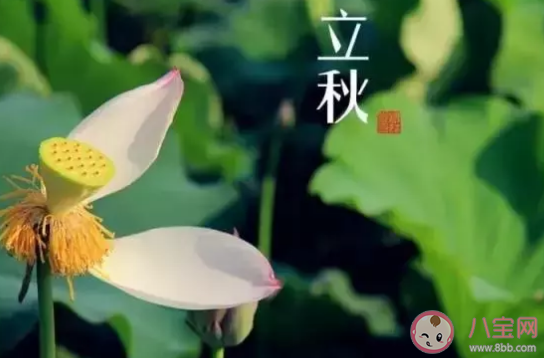 2020立秋節氣溫馨暖人短句合集 適合立秋美好祝福語大全