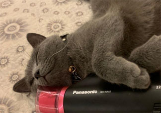 2020沙雕有趣的搞笑群名匯總 2020搞笑火爆的群名稱大全