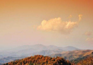 立秋有公秋母秋之分嗎 為什么立秋分公母