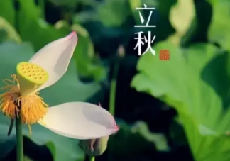 2020立秋節氣溫馨暖人短句合集 適合立秋美好祝福語大全
