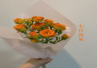 2020適合七月最后一天的朋友圈文案 七月最后一天的文案句子大全