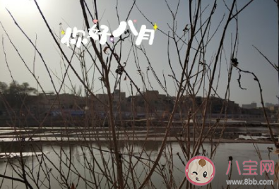 最新八月你好朋友圈文案大全 八月你好發朋友圈的說說