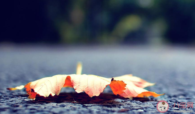 2020立秋早安心語圖片簡單一句話說說 2020立秋節氣早安的說說祝福語句子 2020立秋早安心語圖片簡單一句話說說 2020立秋節氣早安的說說祝福語句子