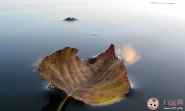 2020立秋早安心語圖片簡單一句話說說 2020立秋節氣早安的說說祝福語句子 2020立秋早安心語圖片簡單一句話說說 2020立秋節氣早安的說說祝福語句子