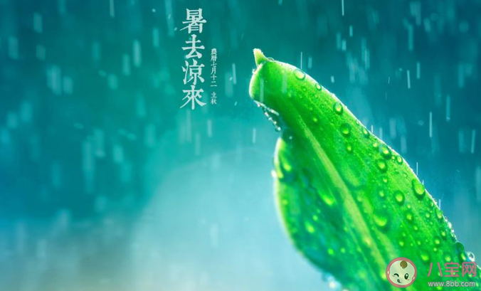 二十四節氣立秋到了發朋友圈的祝福語說說 二十四節氣立秋的經典祝福語文案大全