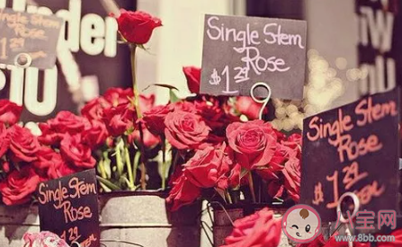 八月早安正能量語(yǔ)錄2020 八月早安心情句子