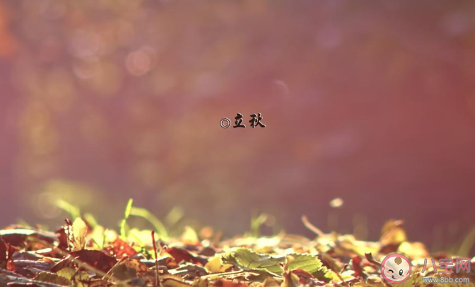 2020立秋圖片一句話發(fā)朋友圈文案 2020立秋圖片美好朋友圈說說