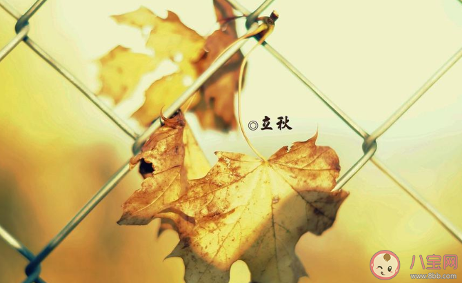 2020立秋圖片一句話發(fā)朋友圈文案 2020立秋圖片美好朋友圈說說