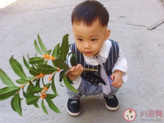 兒子太調皮了發朋友圈心情說說 形容兒子調皮幽默搞笑短句