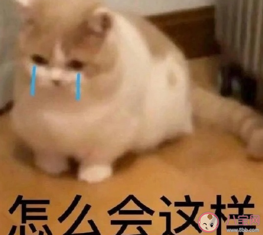 關(guān)于總是睡不醒的朋友圈搞笑說說 表達(dá)自己睡不醒幽默搞笑說說