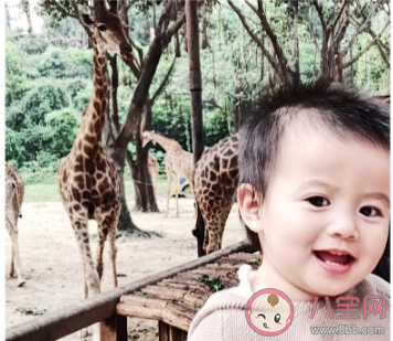 第一次帶孩子去動物園的朋友圈說說 第一次陪孩子來動物園的感受句子