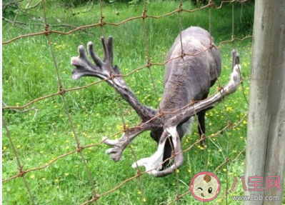 陪孩子去動物園玩發(fā)朋友圈說說 陪孩子逛動物園的感受說說