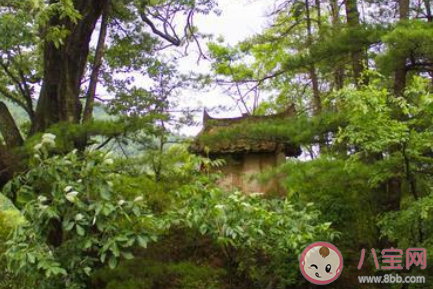 真不錯住在山里真不錯是什么梗 真不錯住在山里真不錯梗的出處是什么 真不錯住在山里真不錯是什么梗 真不錯住在山里真不錯梗的出處是什么