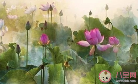 浙江滿分作文《生活在樹上》原文 生活在樹上作文賞析