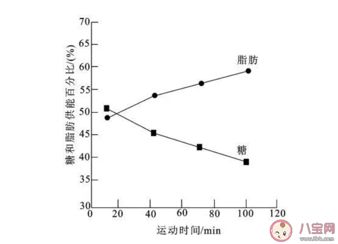 運動30分鐘后才能開始消耗脂肪嗎 每天運動多長時間最健康