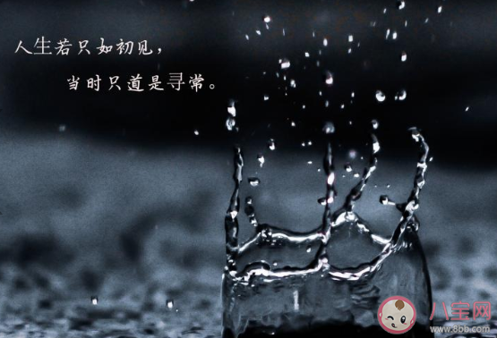 我說我說我開不了口是什么歌 《你走》完整版歌詞在線聽歌