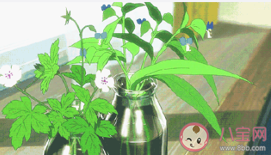 最新網抑云風格語錄句子大全 一人一句網抑云風格語錄吧